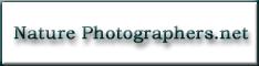 Visit the Nature Photographers Network website